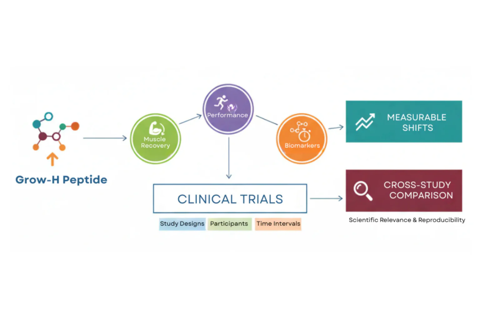 Grow-H – 10mg (CJC-1295 no DAC & Ipamorelin)
